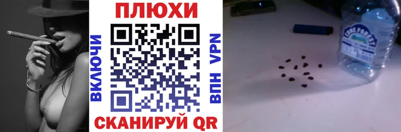 kraken рабочий сайт Курск ГАШ 40% ТГК