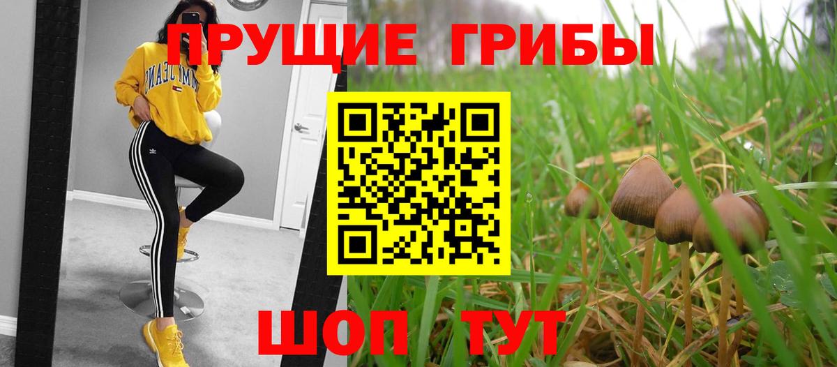 Псилоцибиновые грибы прущие грибы  Псилоцибиновые грибы Psilocybe  Вход с VPN  Курск 